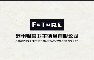 중국 CangZhou Future Sanitaryware Co.,Ltd.