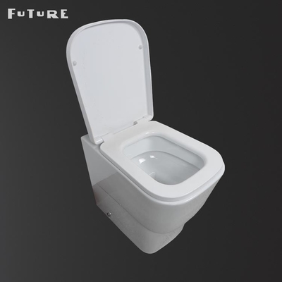 벽 Ｐ 덫 WC 350 밀리미터 폭으로 되돌아가는 듀얼 같은 높이의 버튼 현대식 화장실