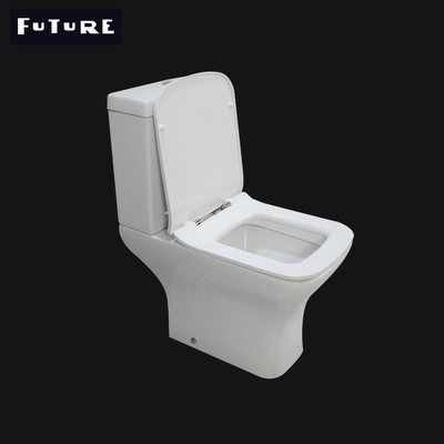 630*350*830mm 이상적 표준 테가 없는 화장실 마감 연결된 WC Ｐ 덫